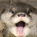 otterpog2 Discord Emoji