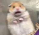 whenshehasadick