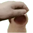 PETTHEPOP