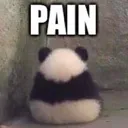 painda
