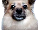RoxyWUT