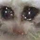 cri