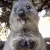1532_Eating 1532_Eating