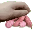 yamshyperpet