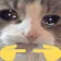 shysadcat