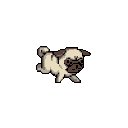 PugRun