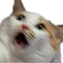 shocked