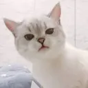 c_angry