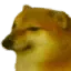 cheems