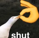 shut
