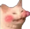 UwU