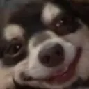 nb_bolinho