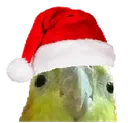 birbcheckxmas