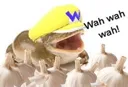 wahwahwah