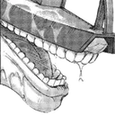 cartpog Discord Emoji