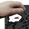 petpuro petpuro