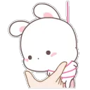 ANIbunnyCutie ANIbunnyCutie