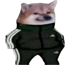 killacheems killacheems