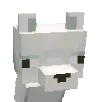 snowyFoxStare