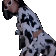 DojaDance