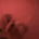 dogJAM