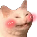 cattoblush