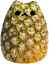 RH_pineapplecatlamp Discord Emoji