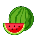 ssunwatermelon