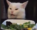 huhcat