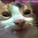 ch_brittishsmirk