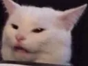 SmudgeCat