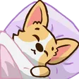 icetokkiSleep