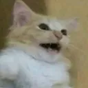 emoji_11 emoji_11
