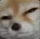 bruh_sadd Discord Emoji