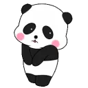 AA_Panda_Shy