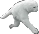 walkin