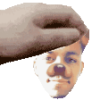 yw_jimmypet