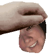 yw_haypet