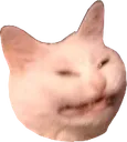 CrazyCat CrazyCat