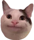 Politecat politecat Discord Emoji