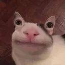 :chatstrange: chatstrange