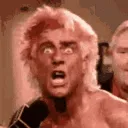 41_RicFlairWoo