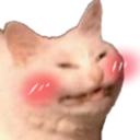 :cattoblush: