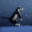 mau5jam
