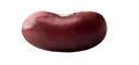 Bean