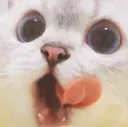Nom