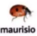 maurisio