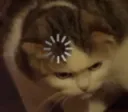 thinking