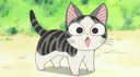 kittygasp
