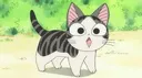 :kittygasp: